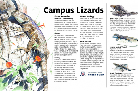 UA Green Fund Lizard Sign