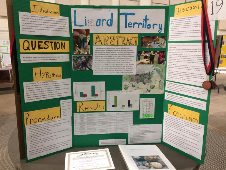 Sam Hughes Science Fair