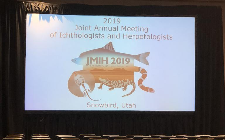 JMIH 2019